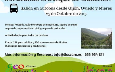Conocer Asturias, ¡Naturalmente! (II)