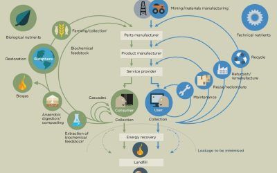 Procesos clave para la Economía Circular en los próximos años