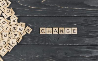 Los 7 pasos del proceso de transformación sostenible